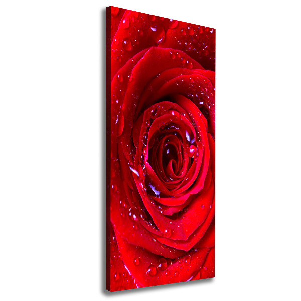 Quadro su tela canvas verticale Rosa rossa