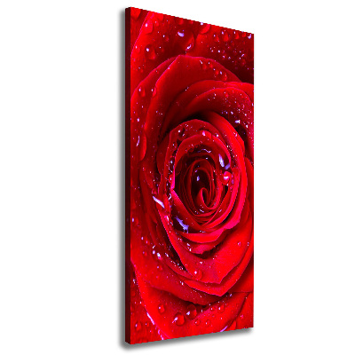 Quadro su tela canvas verticale Rosa rossa