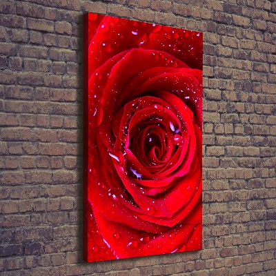 Quadro su tela canvas verticale Rosa rossa
