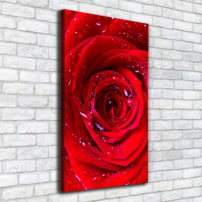 Quadro su tela canvas verticale Rosa rossa