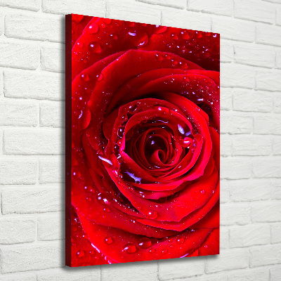 Quadro su tela canvas verticale Rosa rossa