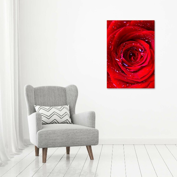 Quadro su tela canvas verticale Rosa rossa