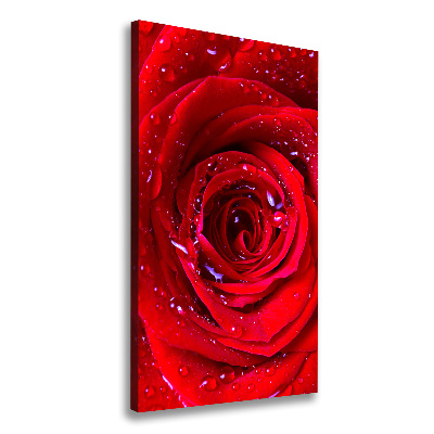 Quadro su tela canvas verticale Rosa rossa