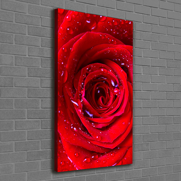 Quadro su tela canvas verticale Rosa rossa
