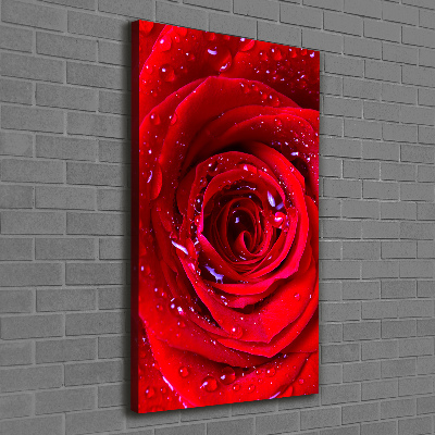 Quadro su tela canvas verticale Rosa rossa