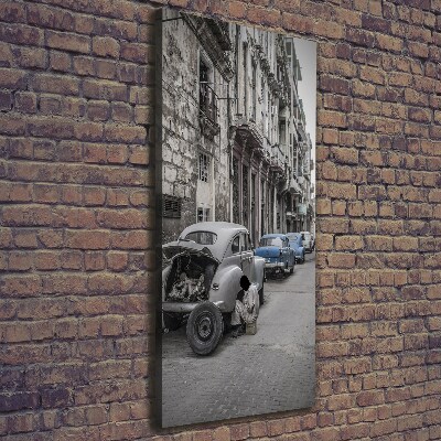 Stampa quadro su tela verticale Lada