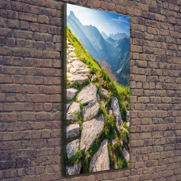 Quadro foto su tela verticale Sentiero di montagna