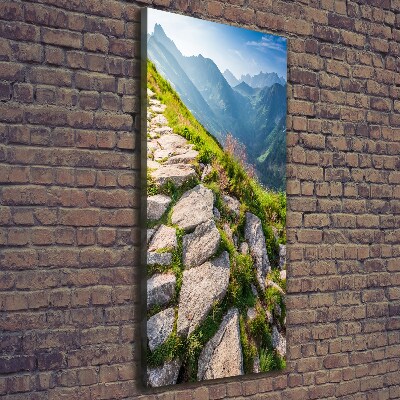 Quadro foto su tela verticale Sentiero di montagna