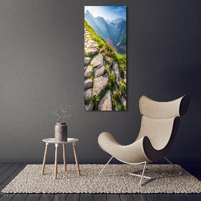 Quadro foto su tela verticale Sentiero di montagna