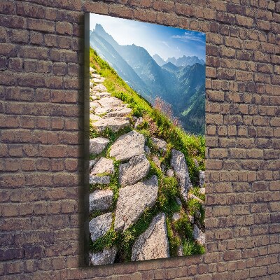 Quadro foto su tela verticale Sentiero di montagna
