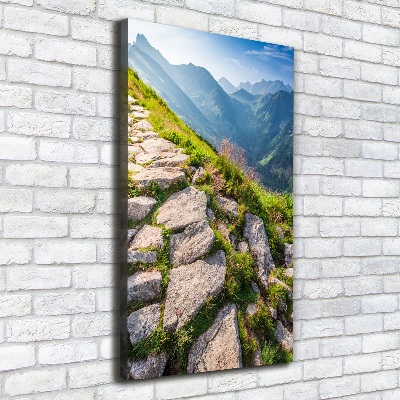 Quadro foto su tela verticale Sentiero di montagna