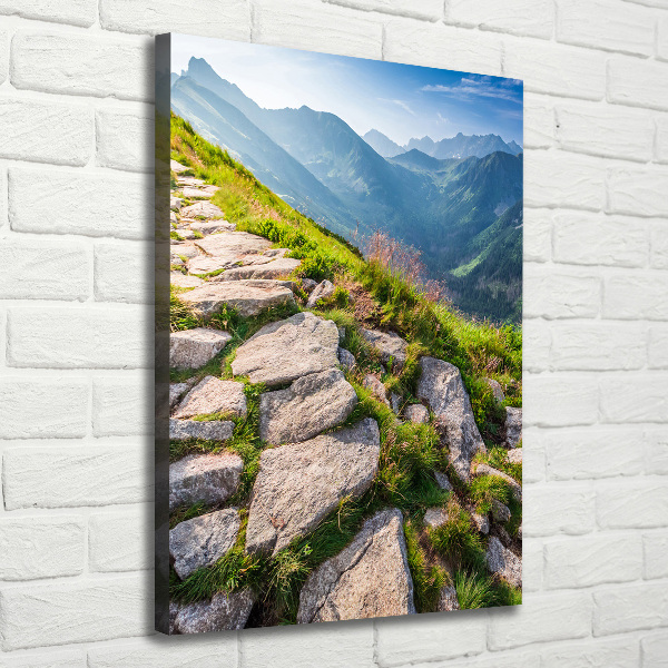 Quadro foto su tela verticale Sentiero di montagna