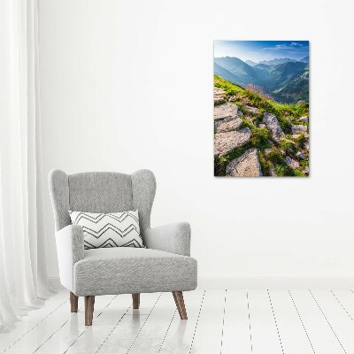 Quadro foto su tela verticale Sentiero di montagna