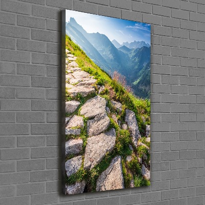 Quadro foto su tela verticale Sentiero di montagna