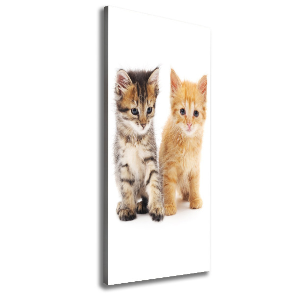 Quadro foto su tela verticale Gatto grigio e rosso