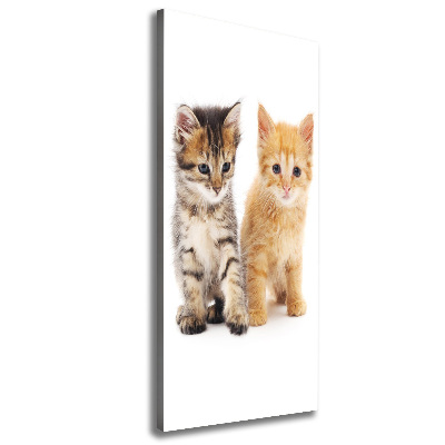 Quadro foto su tela verticale Gatto grigio e rosso