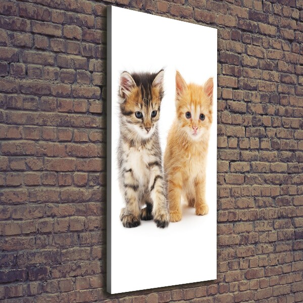 Quadro foto su tela verticale Gatto grigio e rosso