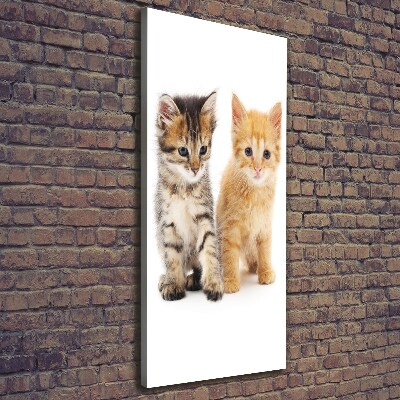 Quadro foto su tela verticale Gatto grigio e rosso