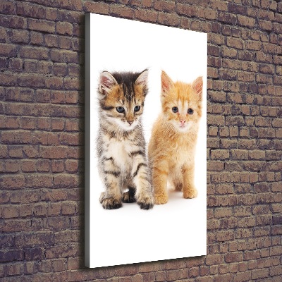 Quadro foto su tela verticale Gatto grigio e rosso