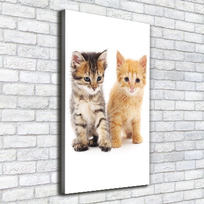 Quadro foto su tela verticale Gatto grigio e rosso