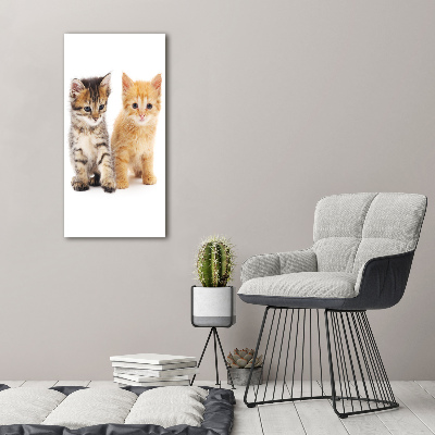 Quadro foto su tela verticale Gatto grigio e rosso