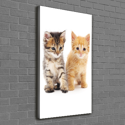 Quadro foto su tela verticale Gatto grigio e rosso
