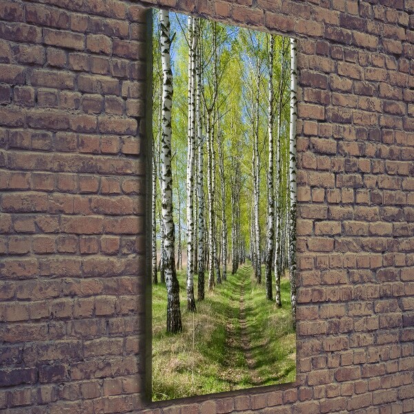 Stampa quadro su tela verticale Foresta di betulle
