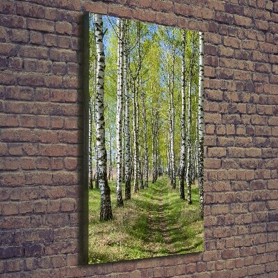Stampa quadro su tela verticale Foresta di betulle