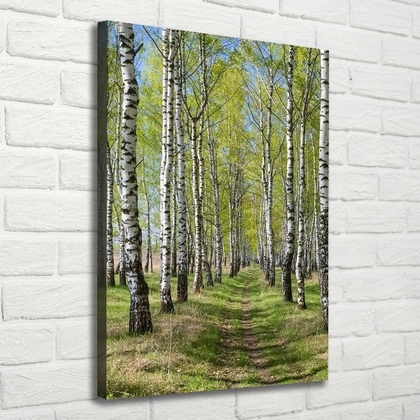 Stampa quadro su tela verticale Foresta di betulle