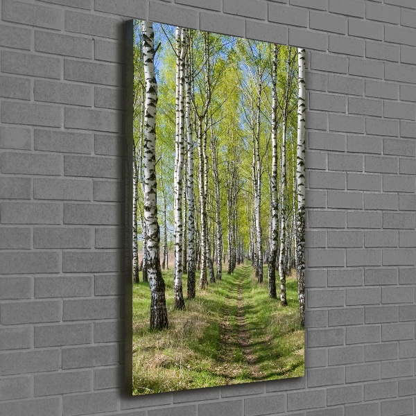 Stampa quadro su tela verticale Foresta di betulle