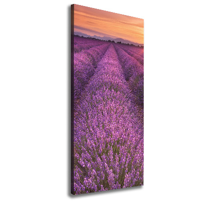 Quadro foto su tela verticale Campo di lavanda