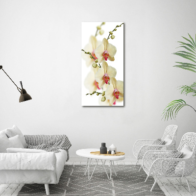 Quadro foto su tela verticale Orchidea