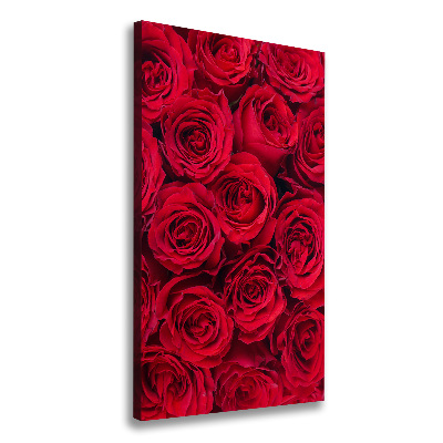 Quadro su tela canvas verticale Rosa rossa