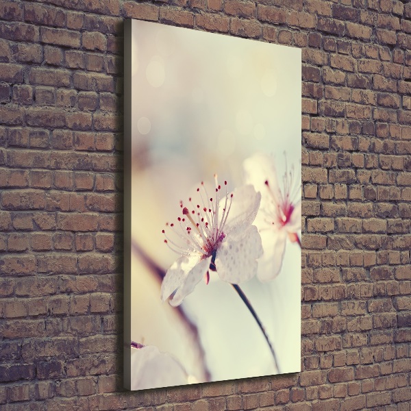 Quadro foto su tela verticale Fiori di ciliegio