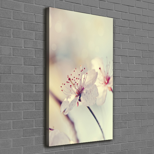 Quadro foto su tela verticale Fiori di ciliegio