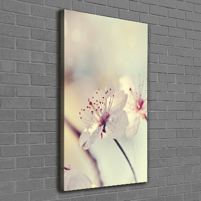 Quadro foto su tela verticale Fiori di ciliegio