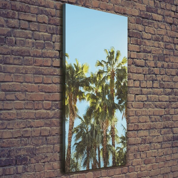 Stampa quadro su tela verticale Palme