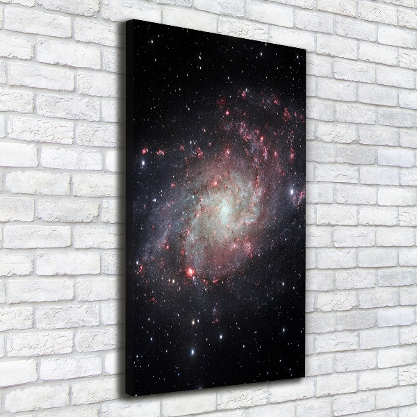 Quadro foto su tela verticale Nebulosa