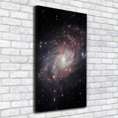 Quadro foto su tela verticale Nebulosa