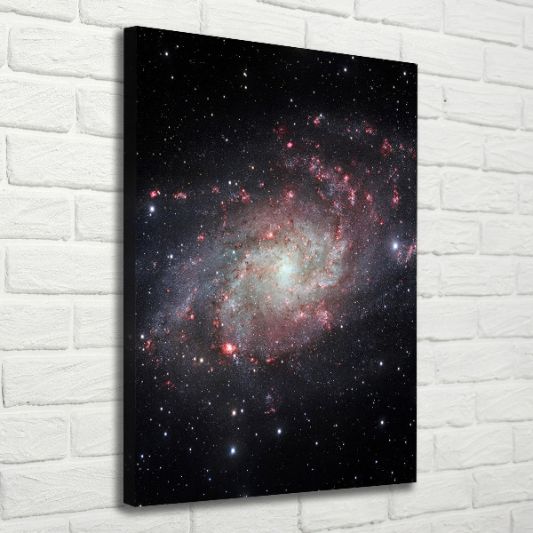 Quadro foto su tela verticale Nebulosa