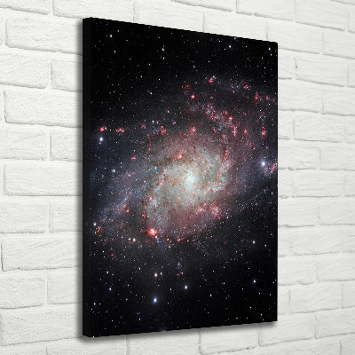 Quadro foto su tela verticale Nebulosa