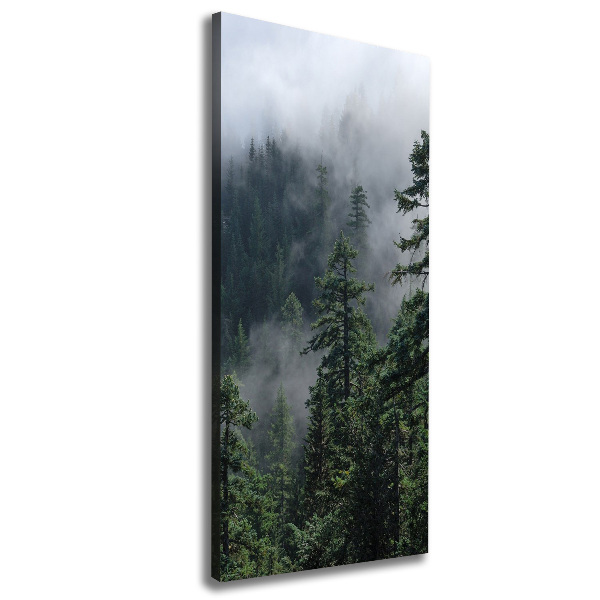 Quadro foto su tela verticale Nebbia sulla foresta