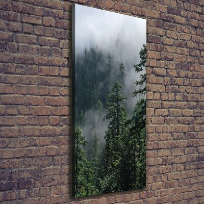 Quadro foto su tela verticale Nebbia sulla foresta