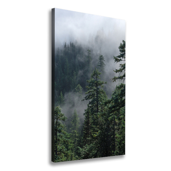 Quadro foto su tela verticale Nebbia sulla foresta