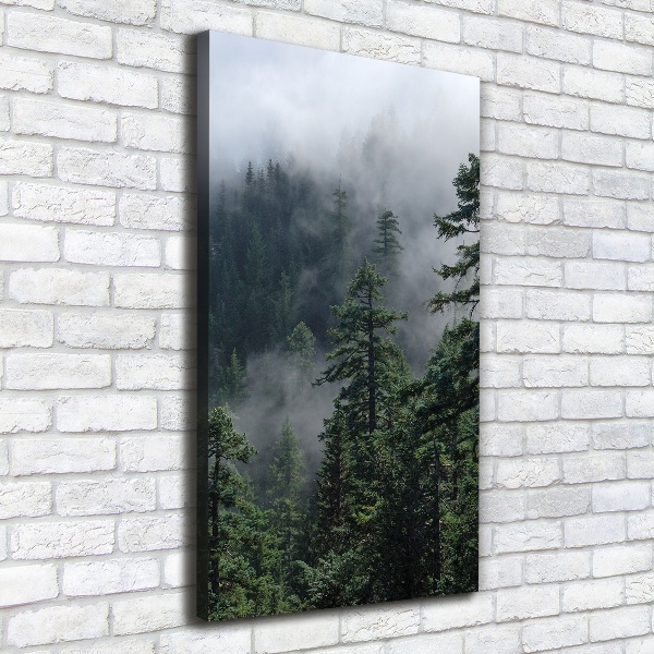 Quadro foto su tela verticale Nebbia sulla foresta