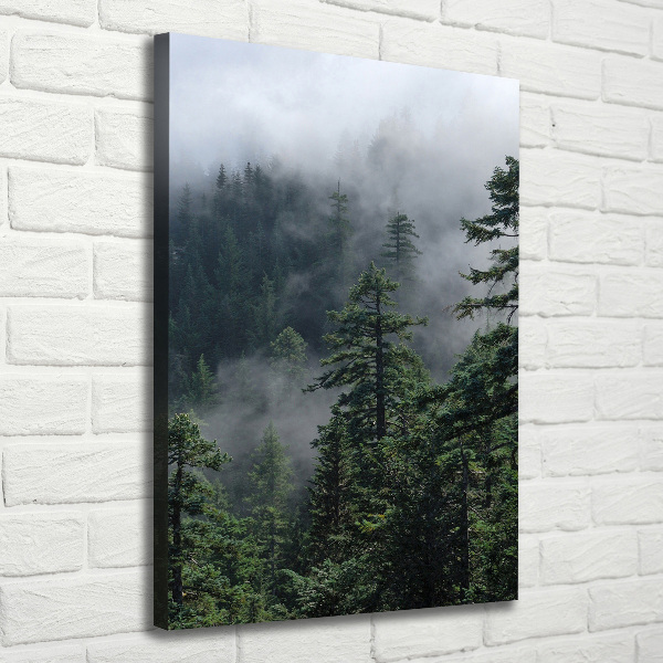 Quadro foto su tela verticale Nebbia sulla foresta