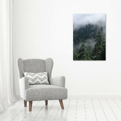 Quadro foto su tela verticale Nebbia sulla foresta