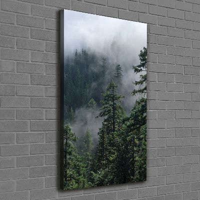 Quadro foto su tela verticale Nebbia sulla foresta