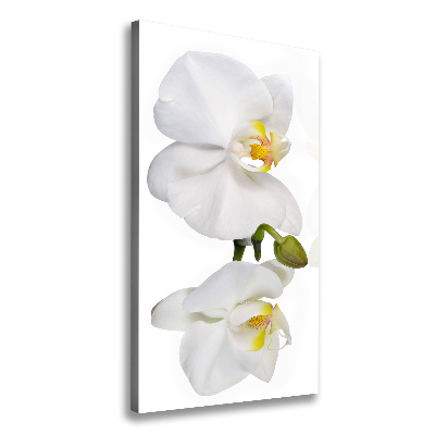 Quadro su tela canvas verticale Orchidea bianca