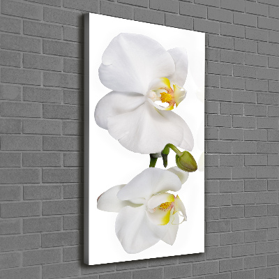 Quadro su tela canvas verticale Orchidea bianca